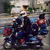 la Vespa  un mulo instancabile